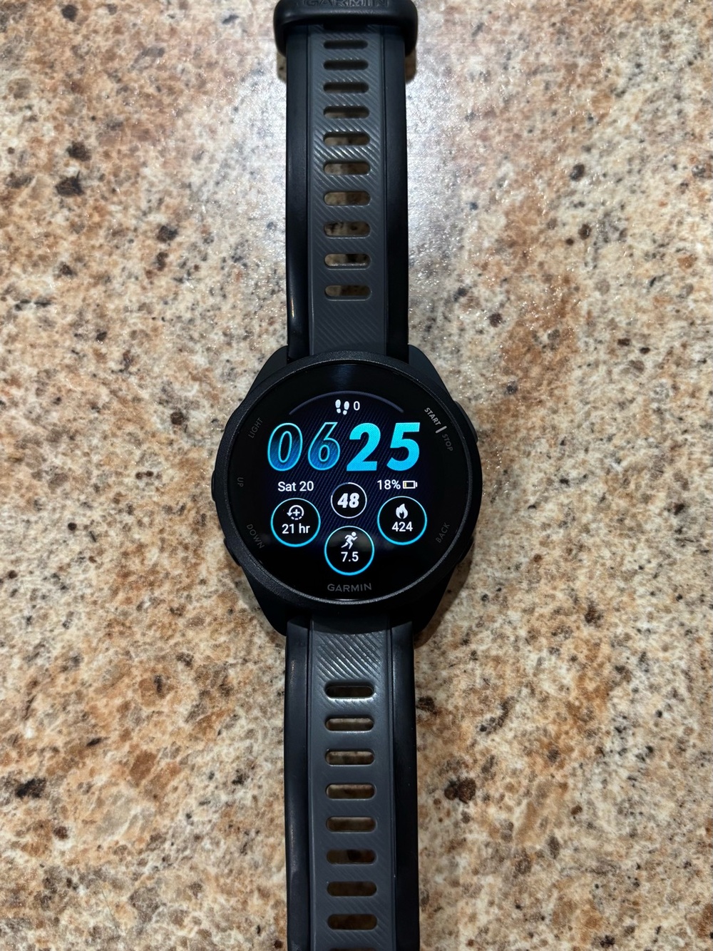 Garmin Forerunner 165 Smartwatch
